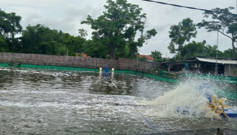 Sempat Tertahan Covid-19, Akhirnya Bantuan Usaha Budidaya Ikan Dipastikan Segera Terealisasi