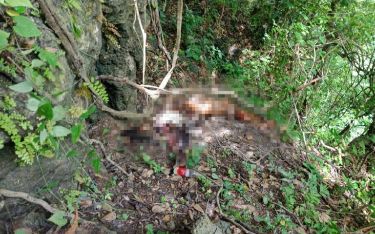 Geger ! Warga Paopale Laok Ketapang Temukan Mayat Perempuan di Bukit