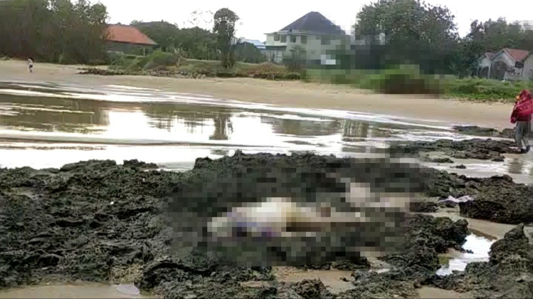 Geger ! Masyarakat Batulenger Sampang Temukan Mayat di Tepi Pantai