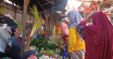 Lebaran Ketupat, Penjual Janur Kelapa di Sampang Raup Berkah