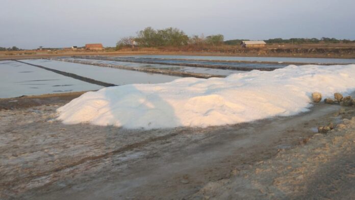 Bantuan Peningkatan Produksi Garam Masih Buram, Berikut Penjelasan Diskan Sampang