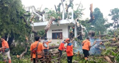 Pondok Pesantren Nurul Allam Sampang Tertimpa Pohon Tumbang