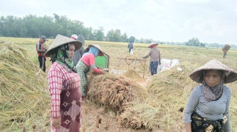 30 Hektare Tanah di Sampang Akan Masuk Pada Lahan Sawah Dilindungi