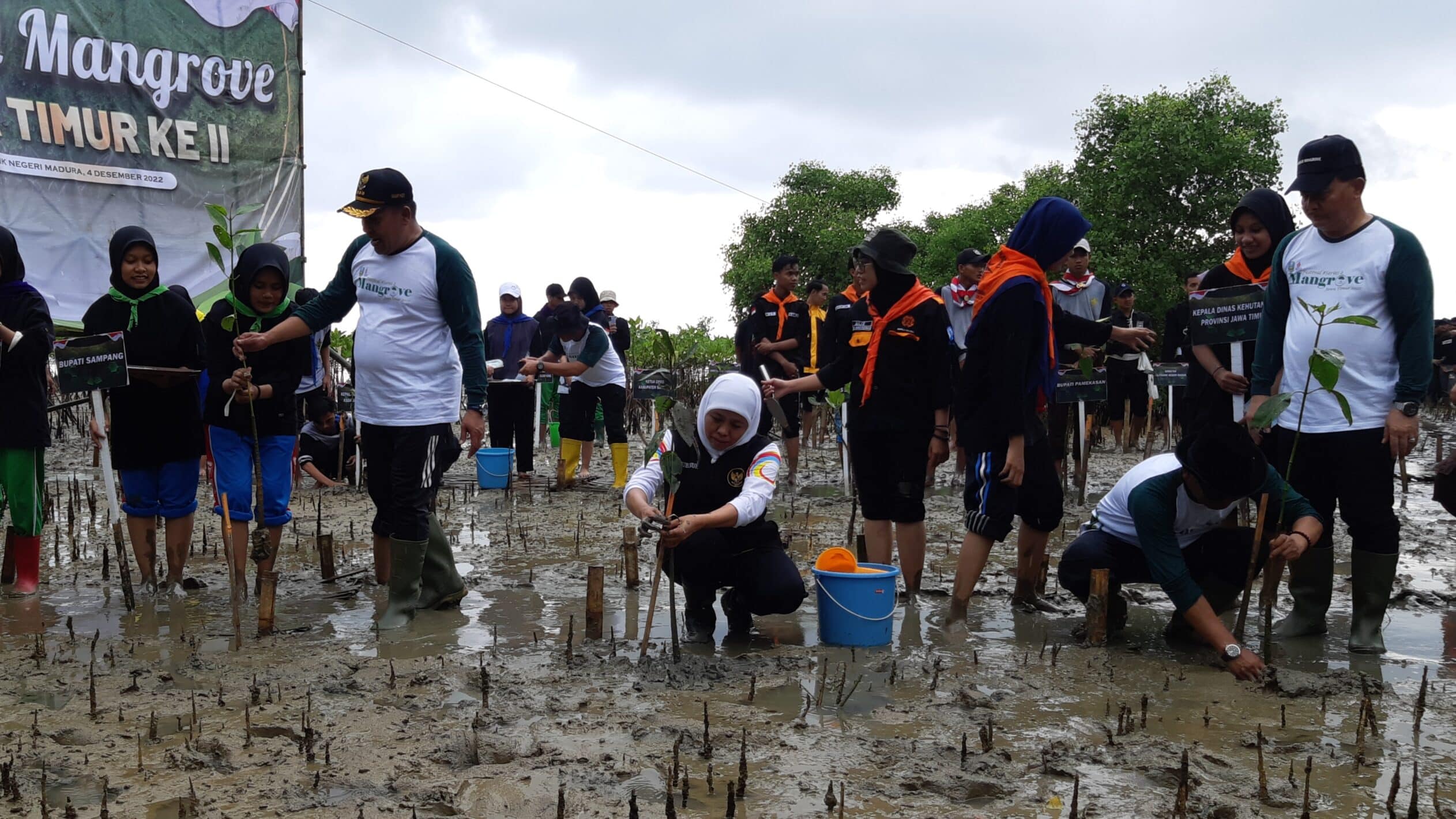 Tanam Mangrove di Sampang, Khofifah Siapkan Support Oksigen Terbaik Dunia