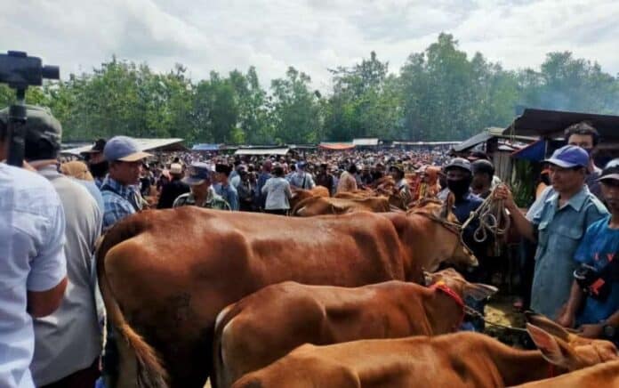 Disnak Bangkalan Perketat Pengawasan Lalu Lintas Hewan Jelang Idul Adha
