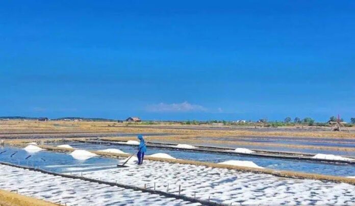 Pemprov Jatim Bantu Petambak Garam Bangkalan Manfaatkan Teknologi Geomembran